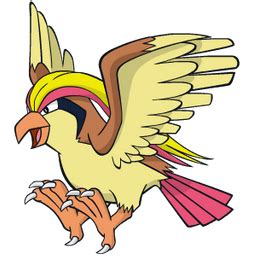 pidgeot weakness.